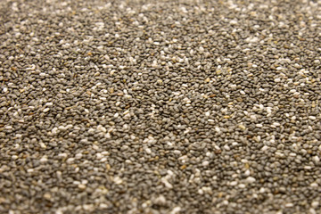 This is a photograph of Chia Seeds