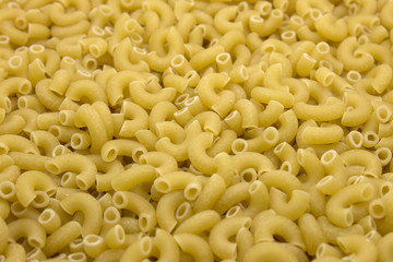 This is a photograph of Macaroni pasta