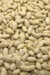This is a photograph of White Kidney Beans