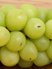 ブドウ　シャインマスカット