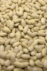 This is a photograph of White Kidney Beans