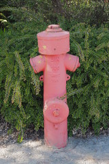 Roter Feuer Hydrant