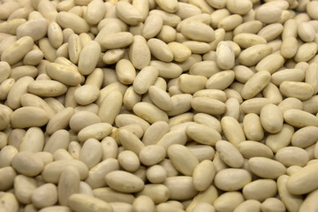 This is a photograph of White Kidney Beans