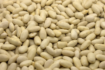 This is a photograph of White Kidney Beans