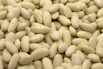 This is a photograph of White Kidney Beans