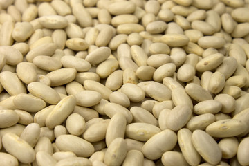 This is a photograph of White Kidney Beans