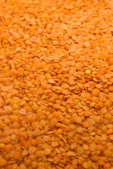This is a photograph of Red lentils