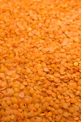 This is a photograph of Red lentils