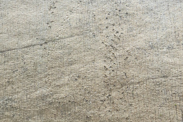 Sucre Bolivia dinosaur footprints in the archaeological park