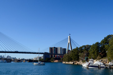 A view of Sydney's inner harbour shoreline with the Anzac Bridge in the background.