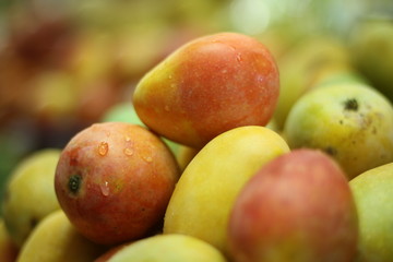 Mango in market, fresh fruit, food marketing, juice, social media, healthy topic, fresh red, yellow, green.