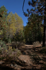 Spooner Lake Trail is a 2.5 mile moderately trafficked loop trail located near Glenbrook, Nevada that features a lake and is good for all skill levels.