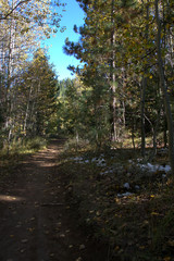 Crisp autumn day on a mountain hiking trail