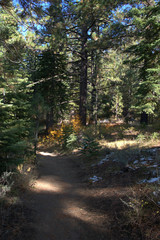 Mountain trail in the late afternoon hours with splashes of fall colors and dusting of snow.