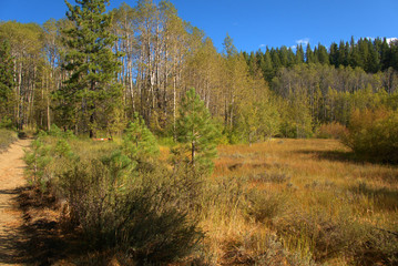Blue skys above a mountain hiking trail
