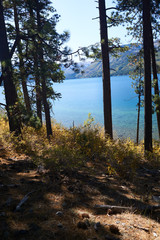 Fall yellows are appearing along side the mountain lakes in Lake Tahoe