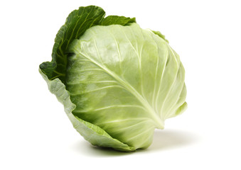 cabbage on white background