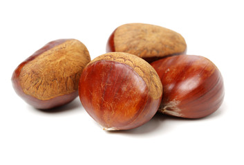 Sweet chestnut on white background
