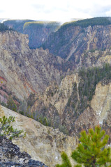 Fototapeta premium Yellow Stone Grand Canyon