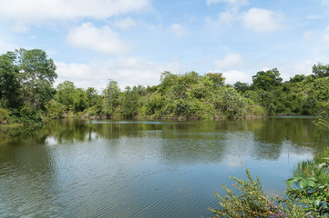 Beautiful and peaceful natural lake surrounded by trees on a sunny day.