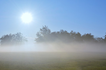 sunrise on a field with fog