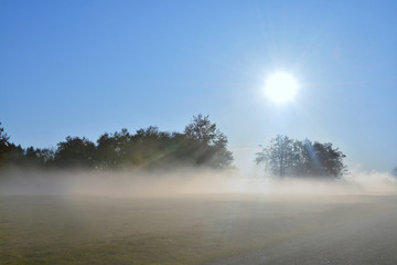 a layer of fog on the ground