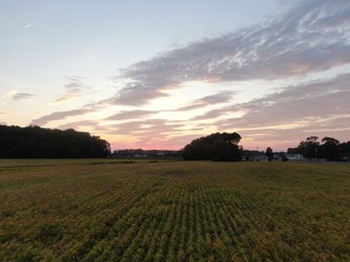 Obraz premium default