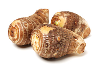 Taro on white background