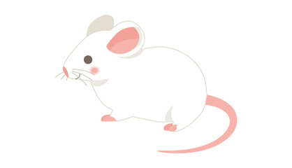 白ネズミ