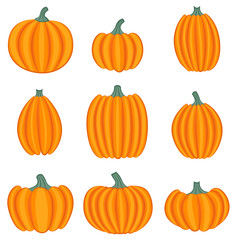 Set of pumpkins isolated on white background. Vector illustration.