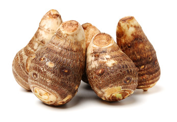 Taro on white background