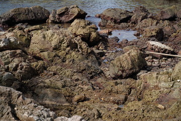 Stone and sea in Thailand