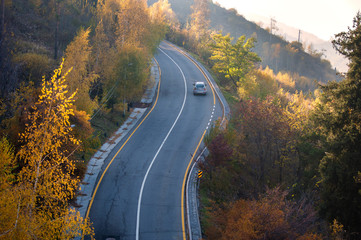 Winding road up to the mountains with car. A way through the yellow forest. Fresh air. Autumn conception