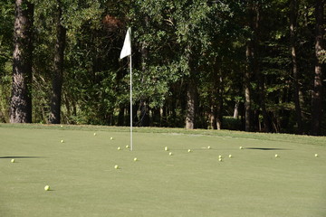 Obraz premium Practice putting green with multiple golf balls on a sunny day.