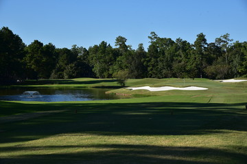 Fototapeta premium Landscape view on a golf course on a sunny day. Golf course green, sand trap and pond with a fountain.