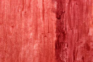This is a photograph of Nude Lipstick swatches gradient background