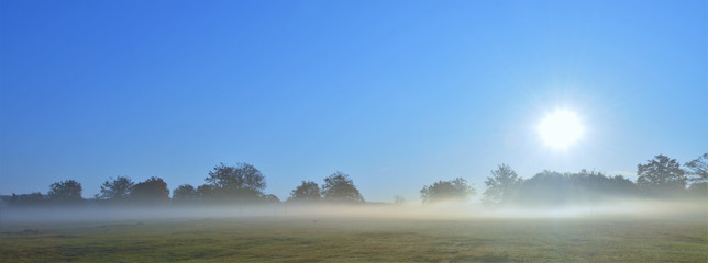 Fototapeta premium autumn morning with fog in the field