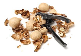 walnuts on a white background