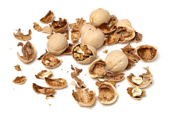 walnuts on white background 