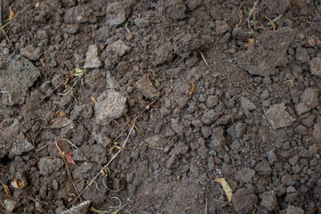 Ground texture background of desert soil