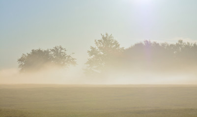 autumn morning with fog in the field