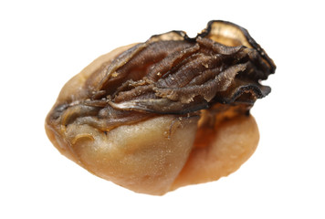 Dry Mussel on white background 