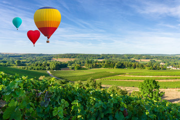 Fototapeta na wymiar Hot air balloons flying over champagne Vineyards