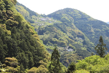 山中の家、四国、日本