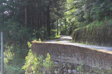 山の中の滝とその水しぶき