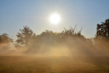 sun and fog on a field with trees