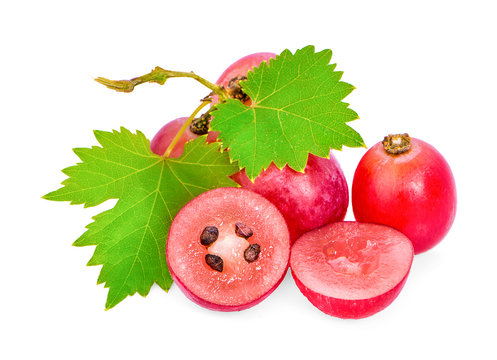 grapes isolated on over white background