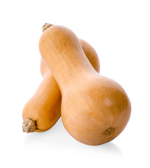 butternut squash isolated on white background