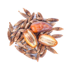 Dates isolated on white background