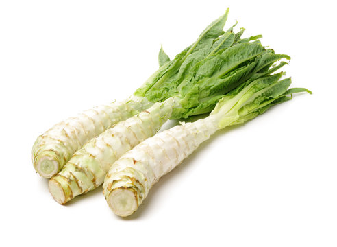 Asparagus lettuce on white background 